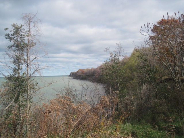 IMG_8248.JPG