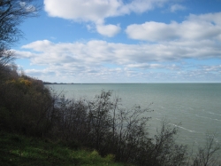 IMG_8241.JPG