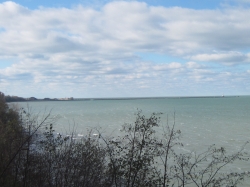 IMG_8242.JPG