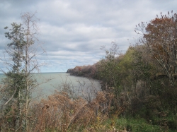 IMG_8248.JPG