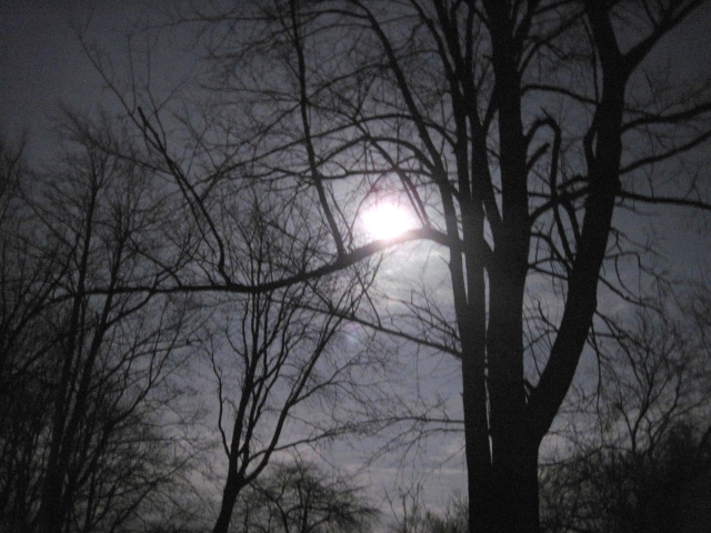 moon1103203.jpg