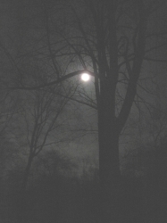 moon1103201.jpg