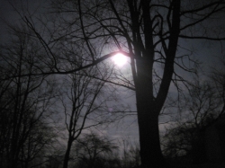 moon1103202.jpg