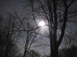 moon1103203.jpg