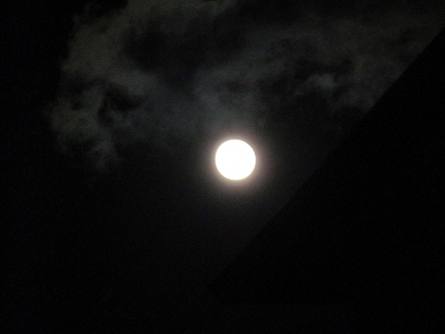 moon102106.jpg