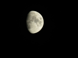 moon122104.jpg