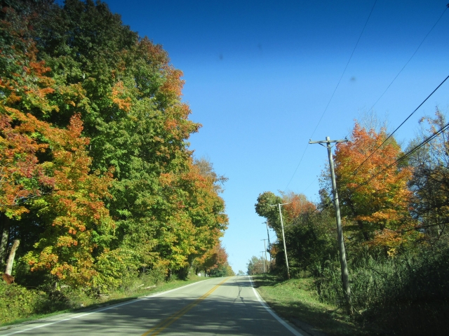 fall011.jpg