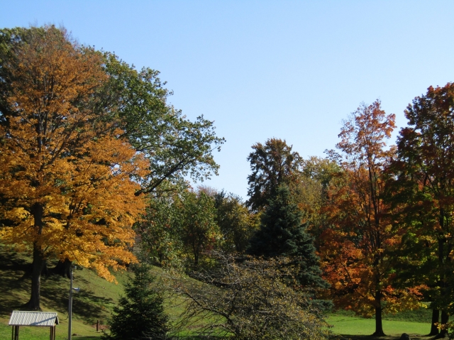 fall018.jpg
