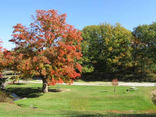 fall019.jpg