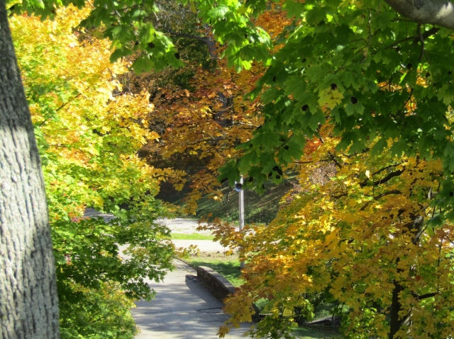 fall025.jpg
