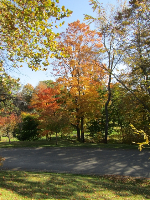 fall033.jpg
