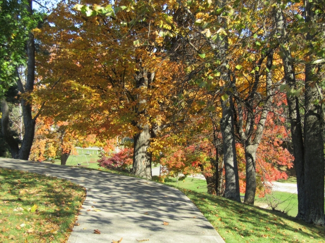 fall034.jpg