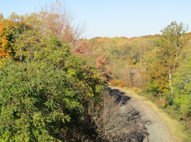fall041.jpg