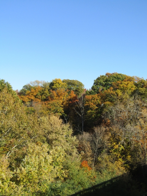 fall047.jpg