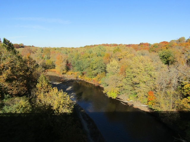 fall051.jpg