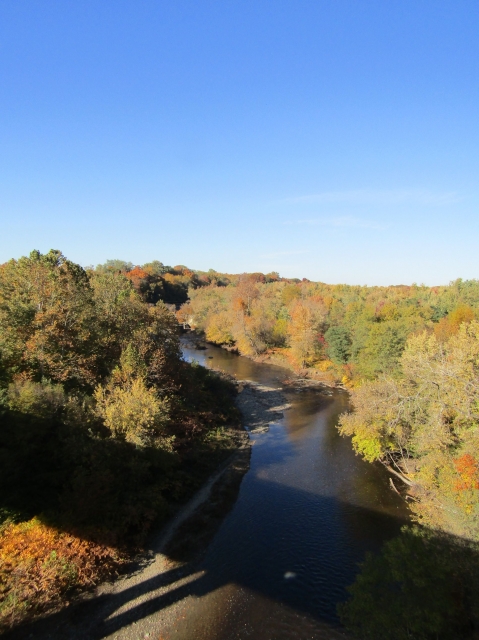 fall052.jpg