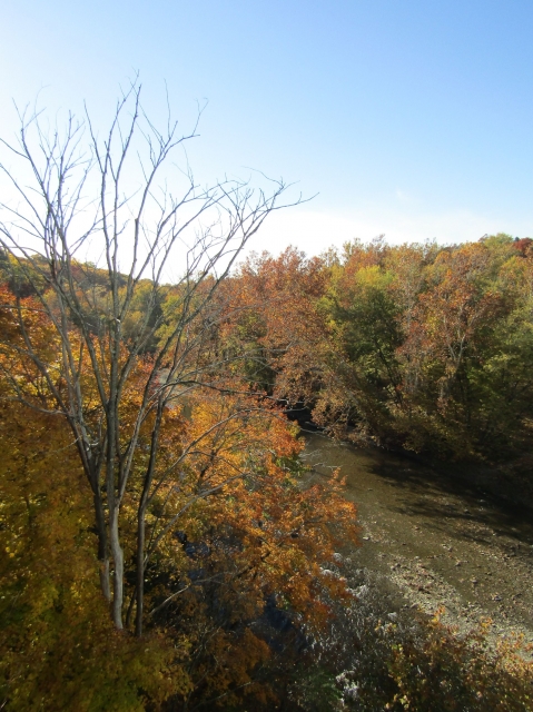 fall057.jpg