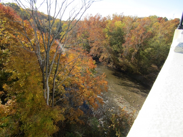 fall058.jpg
