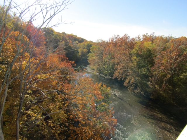 fall059.jpg