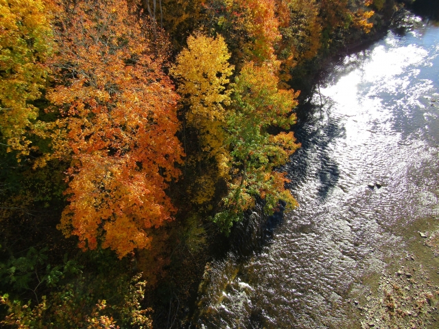 fall060.jpg