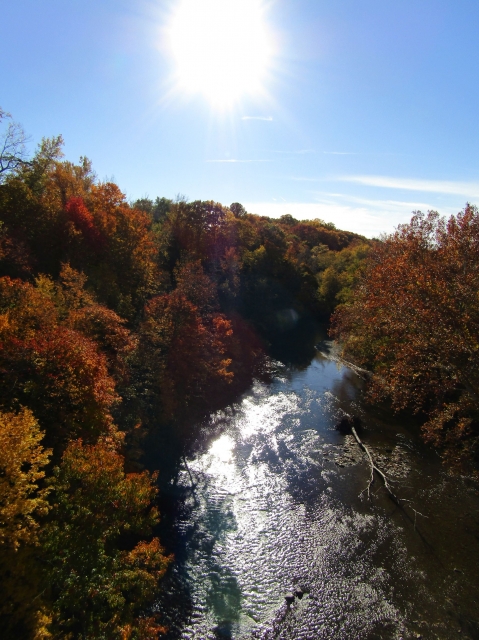 fall061.jpg