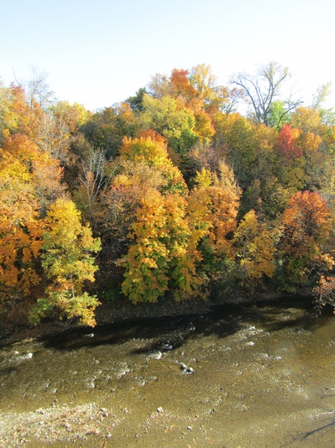 fall063.jpg