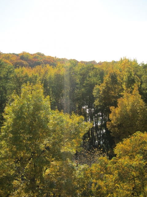 fall067.jpg