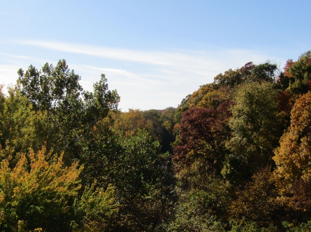 fall068.jpg