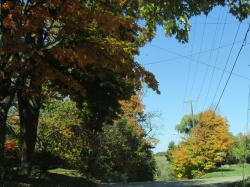 fall005.jpg