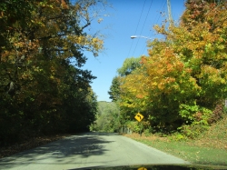 fall006.jpg