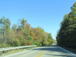fall009.jpg