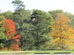 fall021.jpg