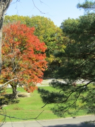 fall026.jpg