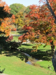fall028.jpg