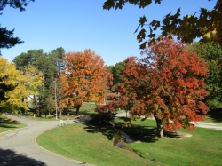 fall029.jpg