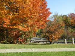 fall037.jpg