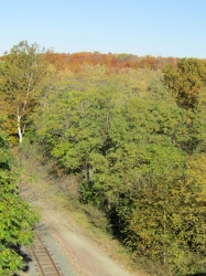 fall040.jpg