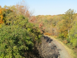 fall041.jpg