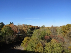 fall045.jpg
