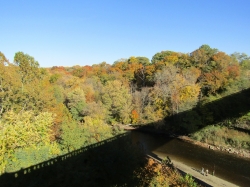 fall048.jpg