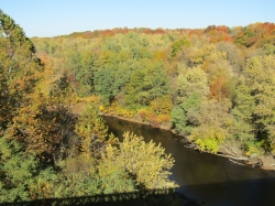 fall049.jpg