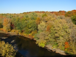 fall050.jpg