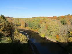 fall051.jpg