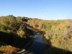 fall053.jpg