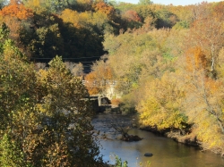 fall054.jpg