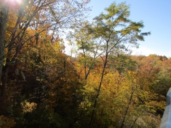 fall056.jpg