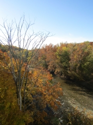 fall057.jpg