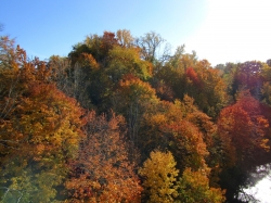 fall062.jpg
