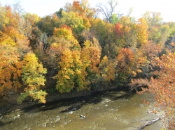 fall064.jpg