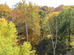 fall065.jpg